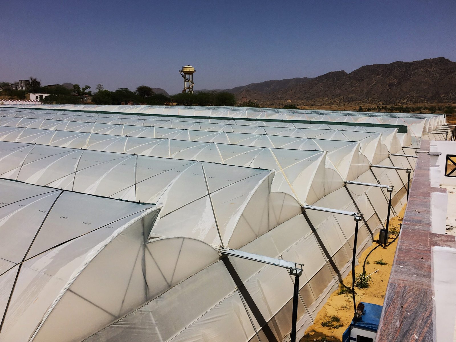 Polyhouse Structure- Greenhouse Structure- Agrodome