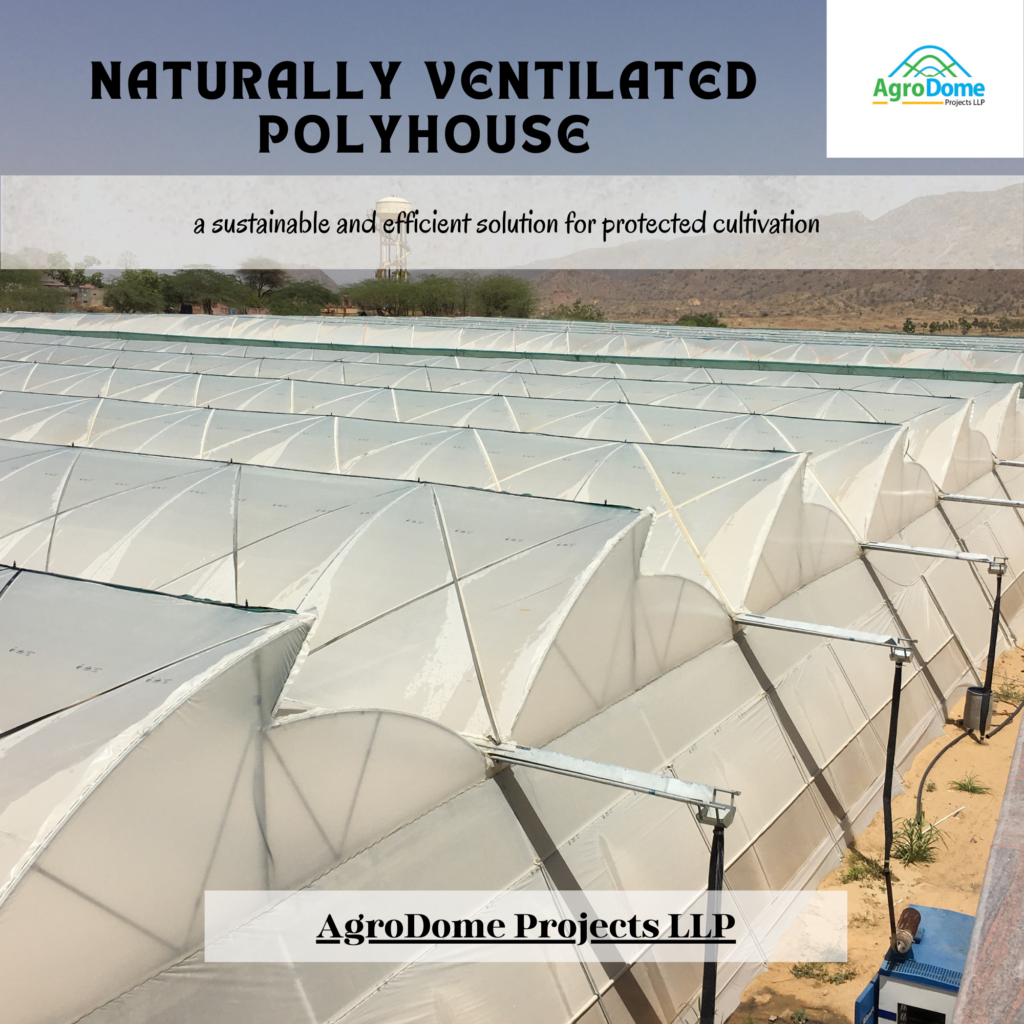 Naturally Ventilated Polyhouse- AgroDome