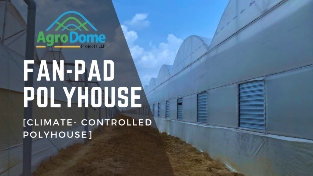 Fan-Pad Polyhouse- Climate Controlled Environmental Polyhouse