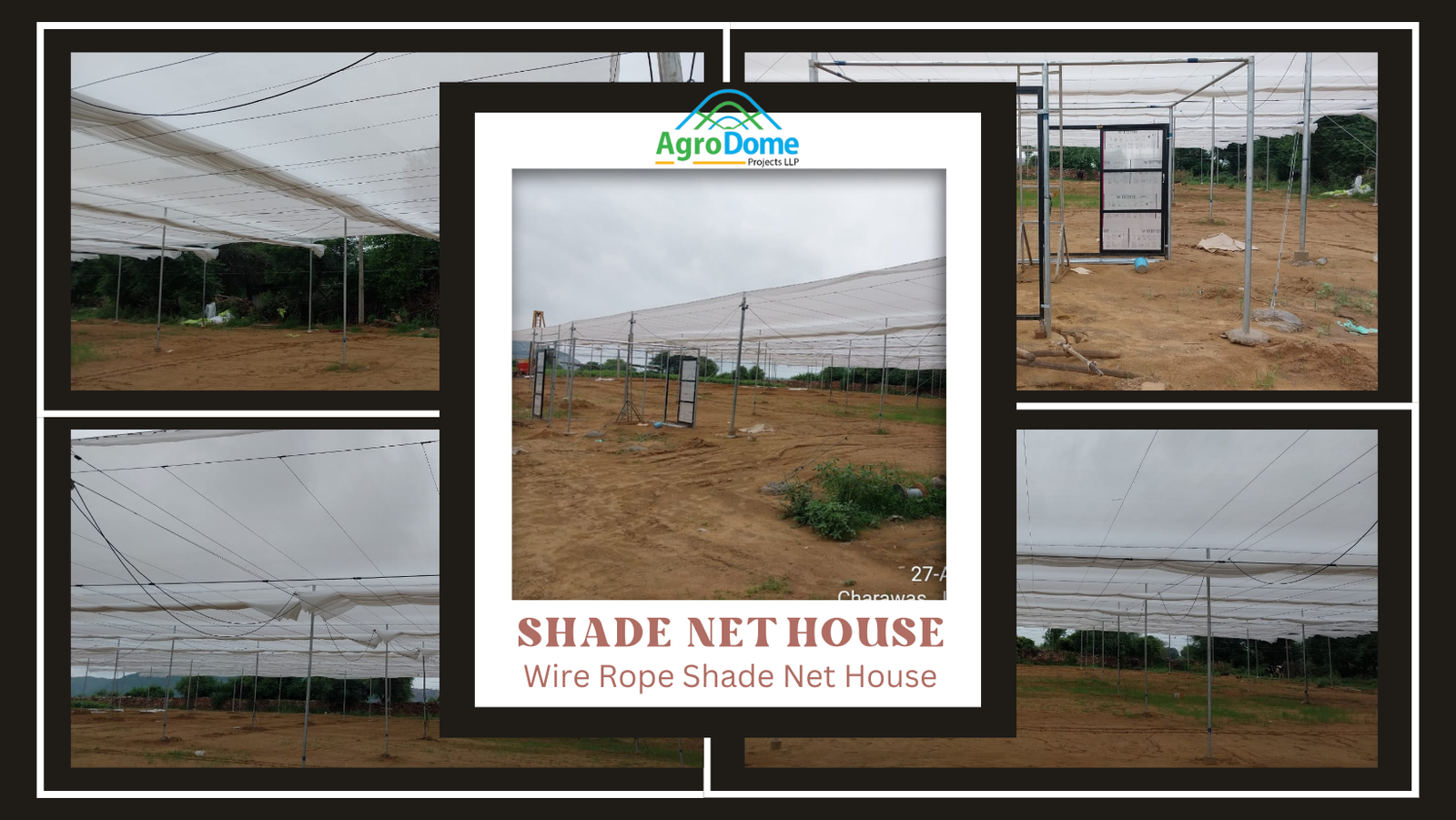 Cucumber Farming in Wire Rope Shade Net House | Cucumber Cultivation in Nethouse | Wire Rope Net House