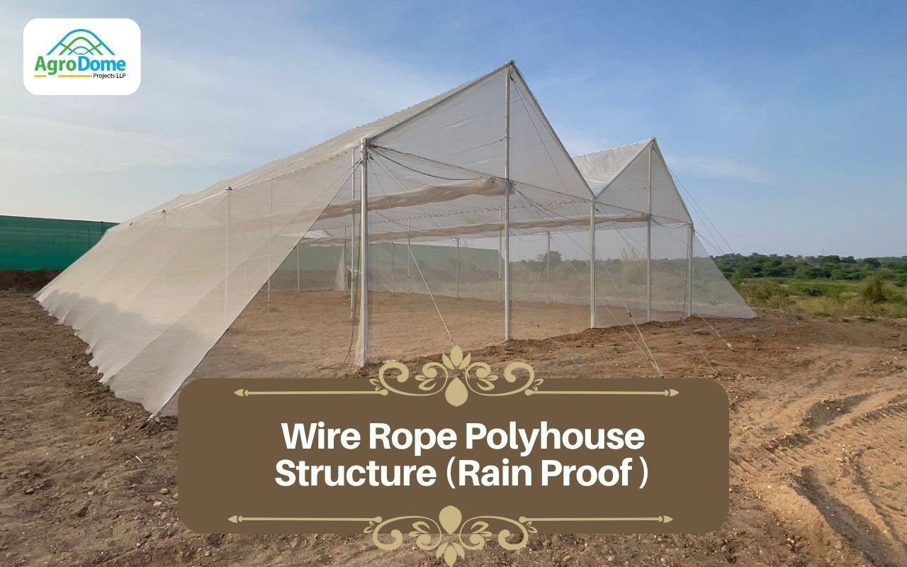 Wire Rope Polyhouse Rain-Proof Structure: The Future of Sustainable Farming