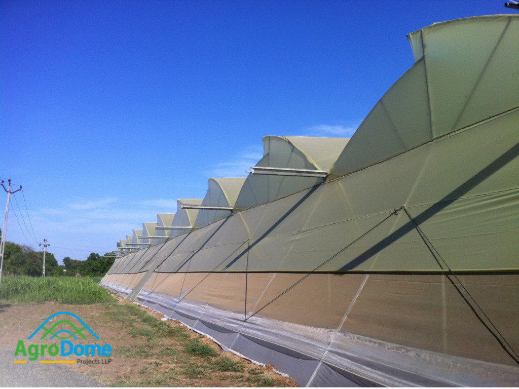 Naturally Ventilated Poly-house (Rain-proof) (UV Stabilized Polyhouse ...