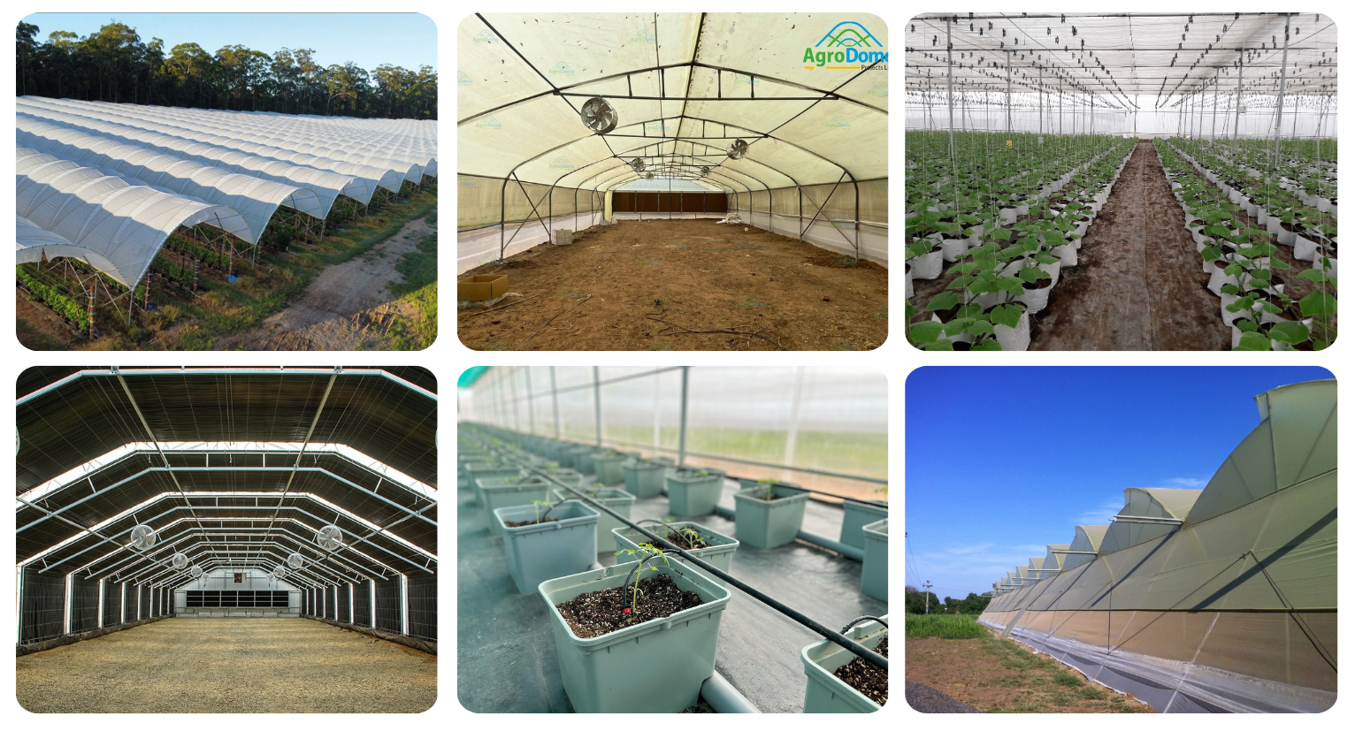 Controlled Environment Agriculture vs. Traditional Farming: Which is Better for the Planet?