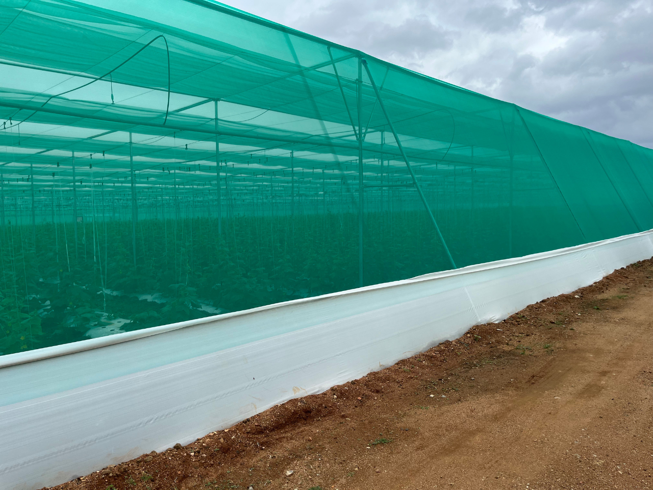 Retractable Flat Roof Shade Net House