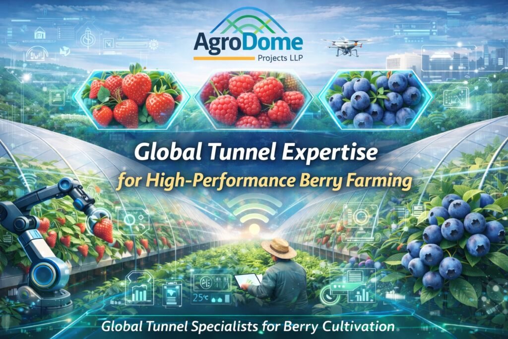 Global Tunnel Expertise - For High Performing Berry crops| Agrodome Projects LLP
