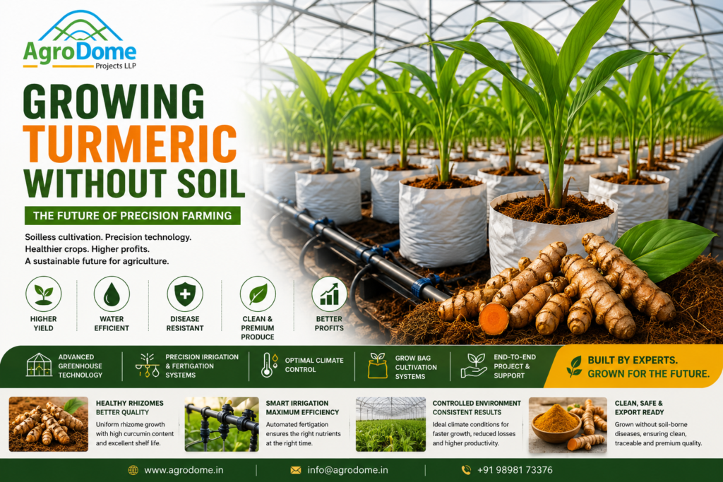 How AgroDome Projects LLP is Transforming High-Value Spice Cultivation Through Protected Farming