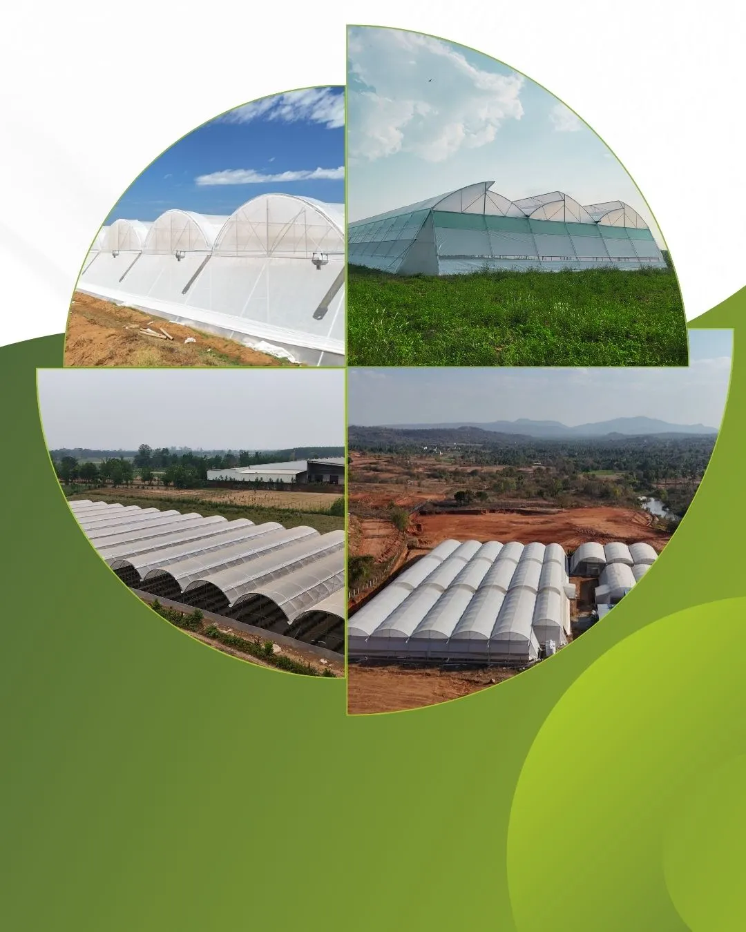 A Vision in Bloom The Agrodome Projects LLP Narrative