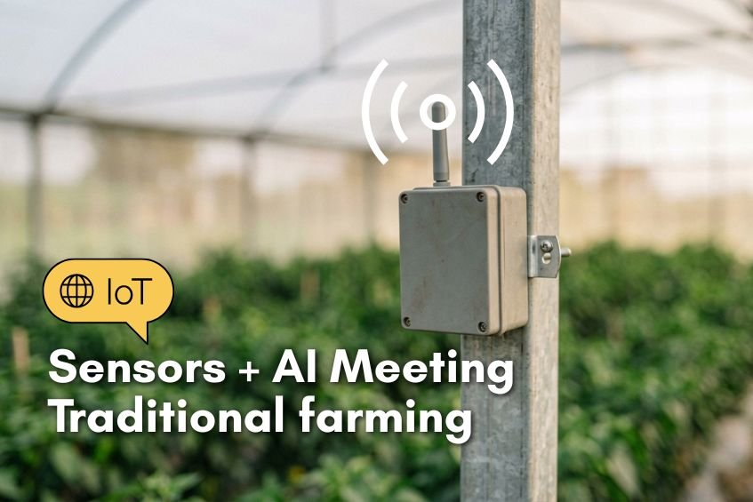 IoT climate sensor monitoring temperature and humidity in a polyhouse greenhouse