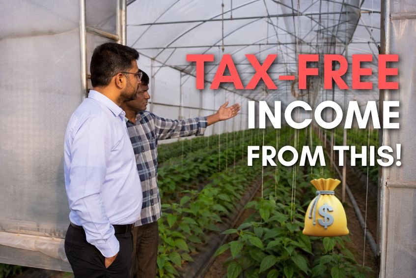 Business owner exploring polyhouse farming as a tax-free agricultural income opportunity