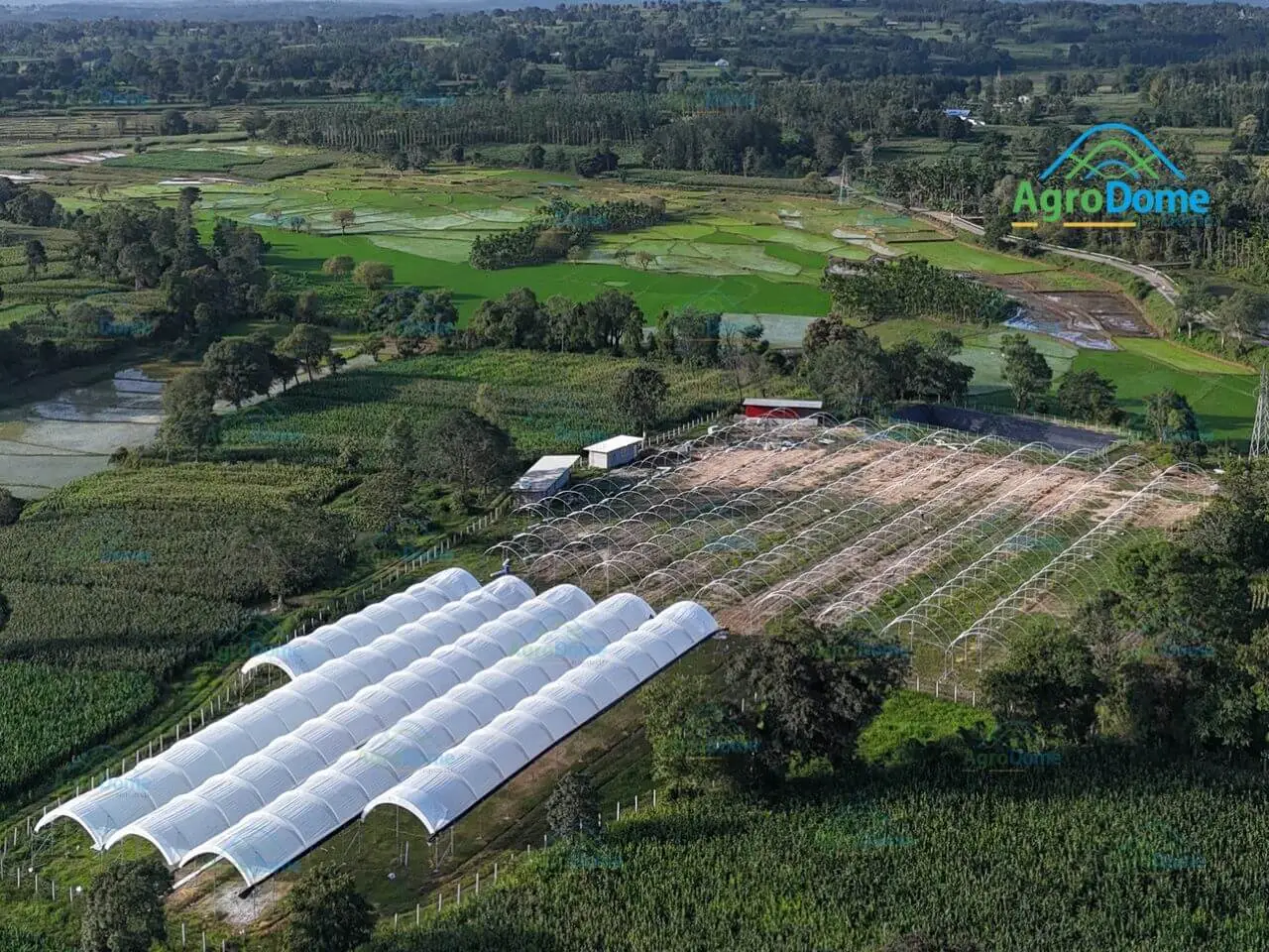 Aerial view of a farm featuring a large greenhouse surrounded by fields and trees.