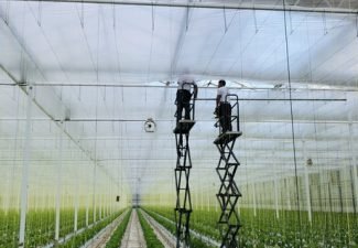 Greenhouse maintenance-Agrodome